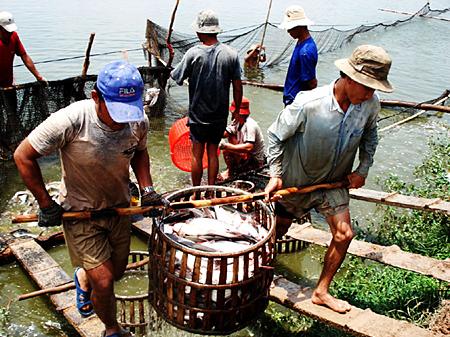 ການເຈລະຈາ ”ທົ່ງພຽງແມ່ນ້ຳຂອງດຶງດູດການລົງທຶນພັດທະນາ”